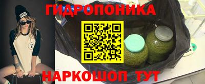 сатива Гусиноозёрск