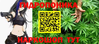 сатива Гусиноозёрск