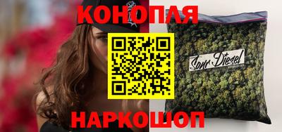 сатива Гусиноозёрск