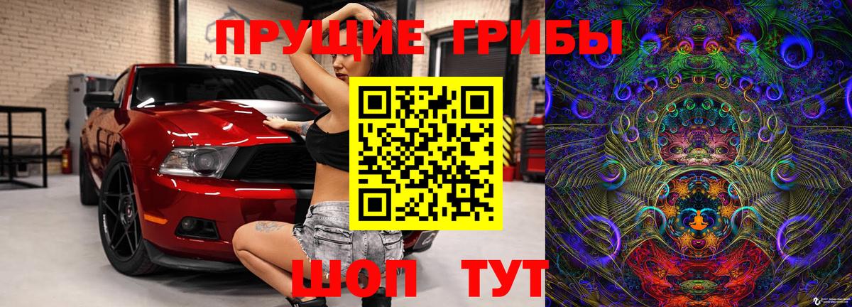 Псилоцибиновые грибы Cubensis Можга