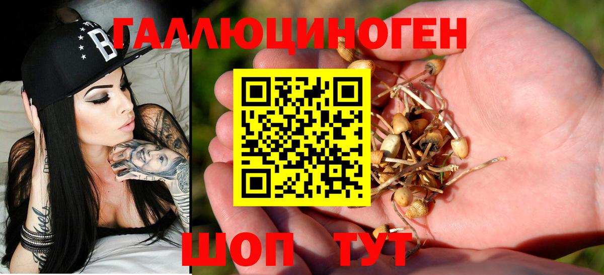 Можга  Псилоцибиновые грибы GOLDEN TEACHER  Вход с VPN  Псилоцибиновые грибы GOLDEN TEACHER 
